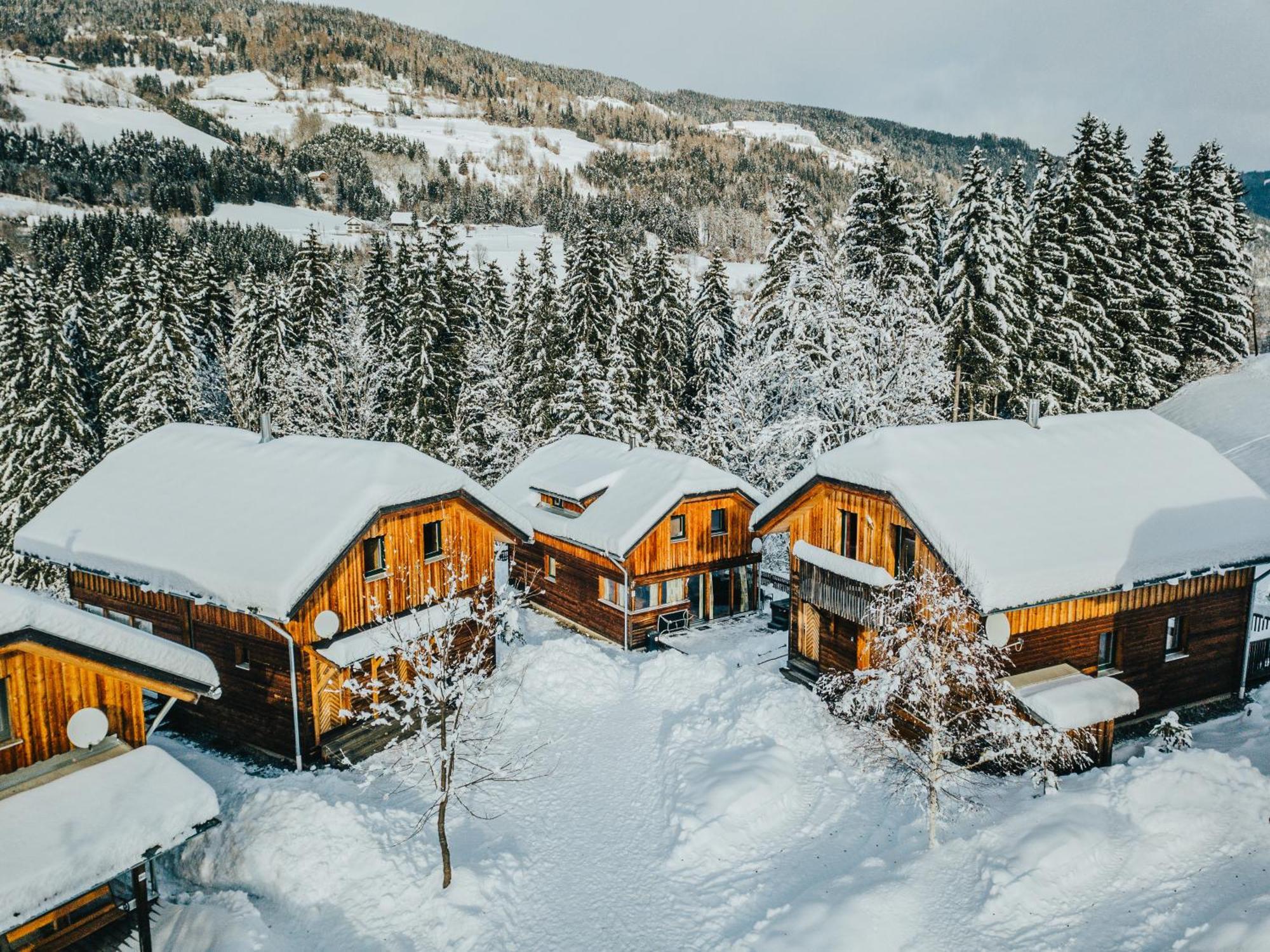 Woody Park Villa Sankt Georgen ob Murau Luaran gambar