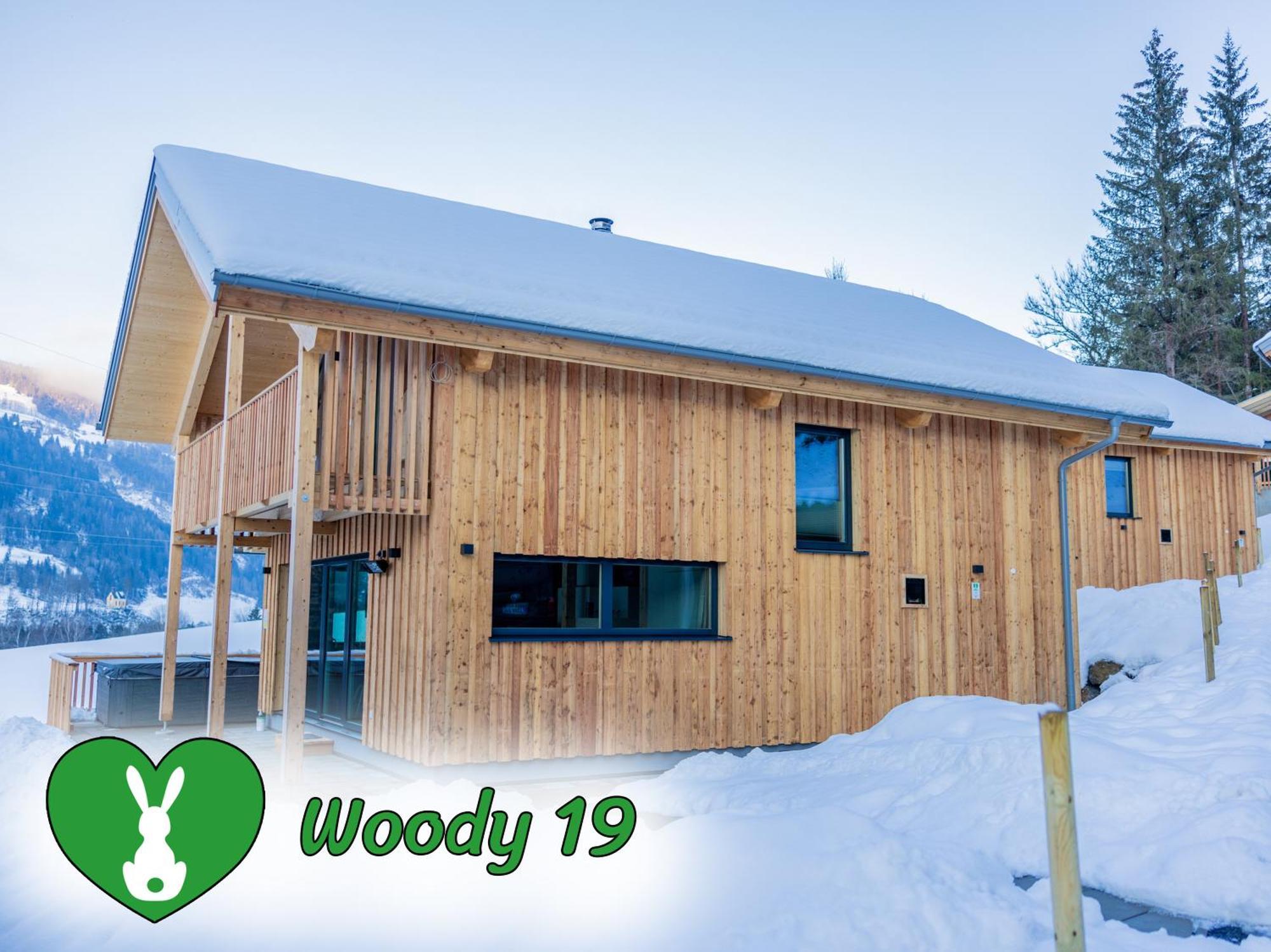 Woody Park Villa Sankt Georgen ob Murau Luaran gambar