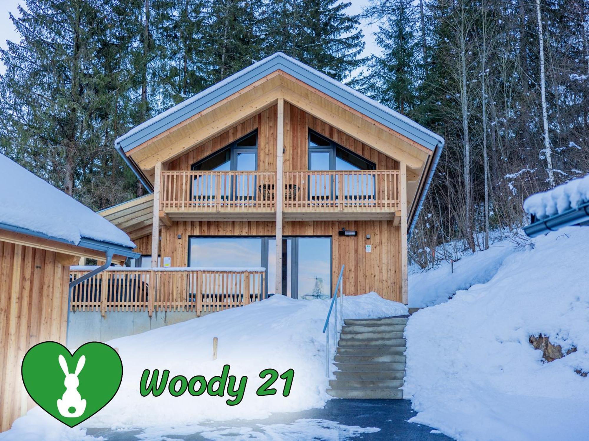 Woody Park Villa Sankt Georgen ob Murau Luaran gambar