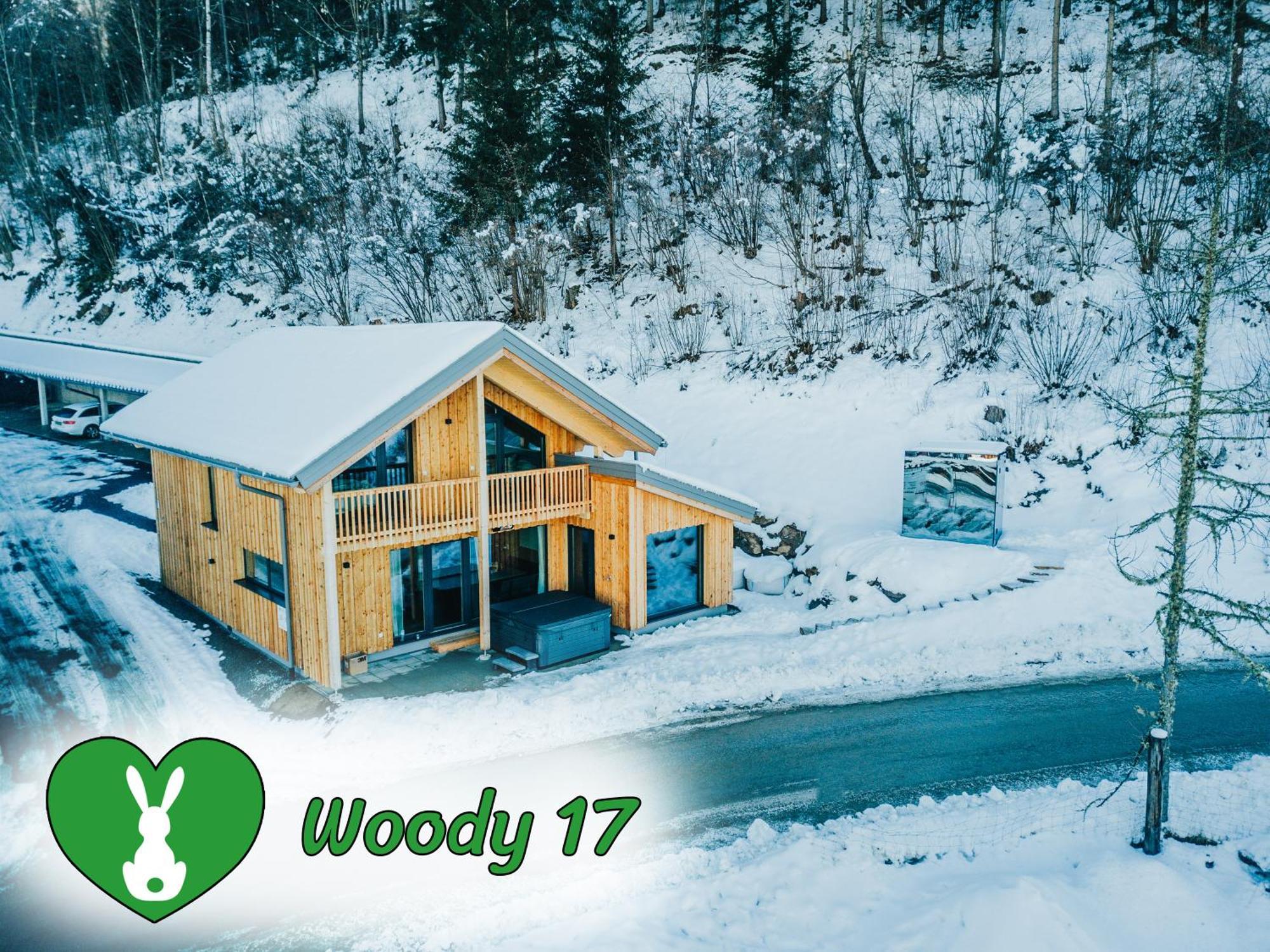 Woody Park Villa Sankt Georgen ob Murau Luaran gambar