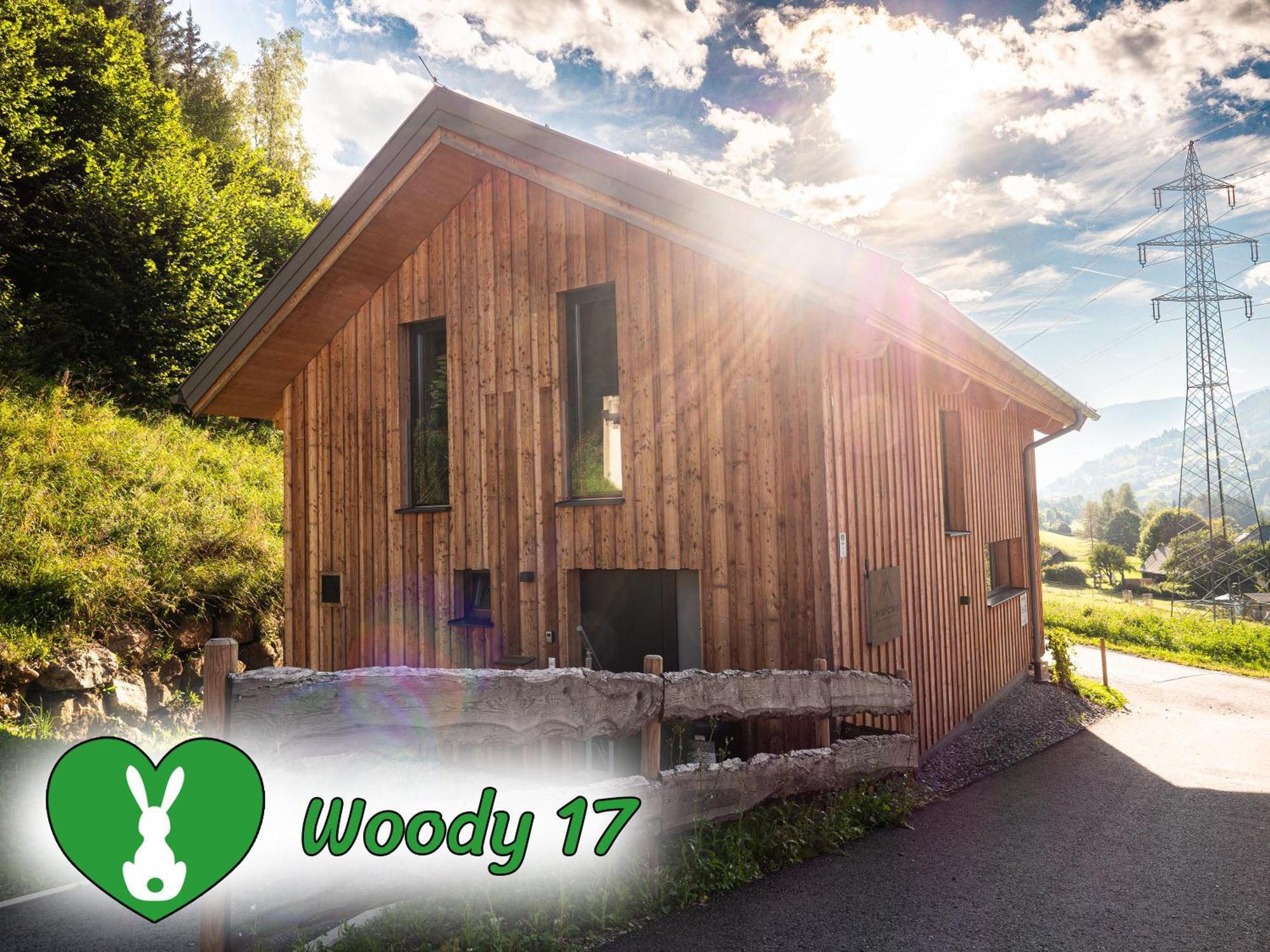 Woody Park Villa Sankt Georgen ob Murau Luaran gambar