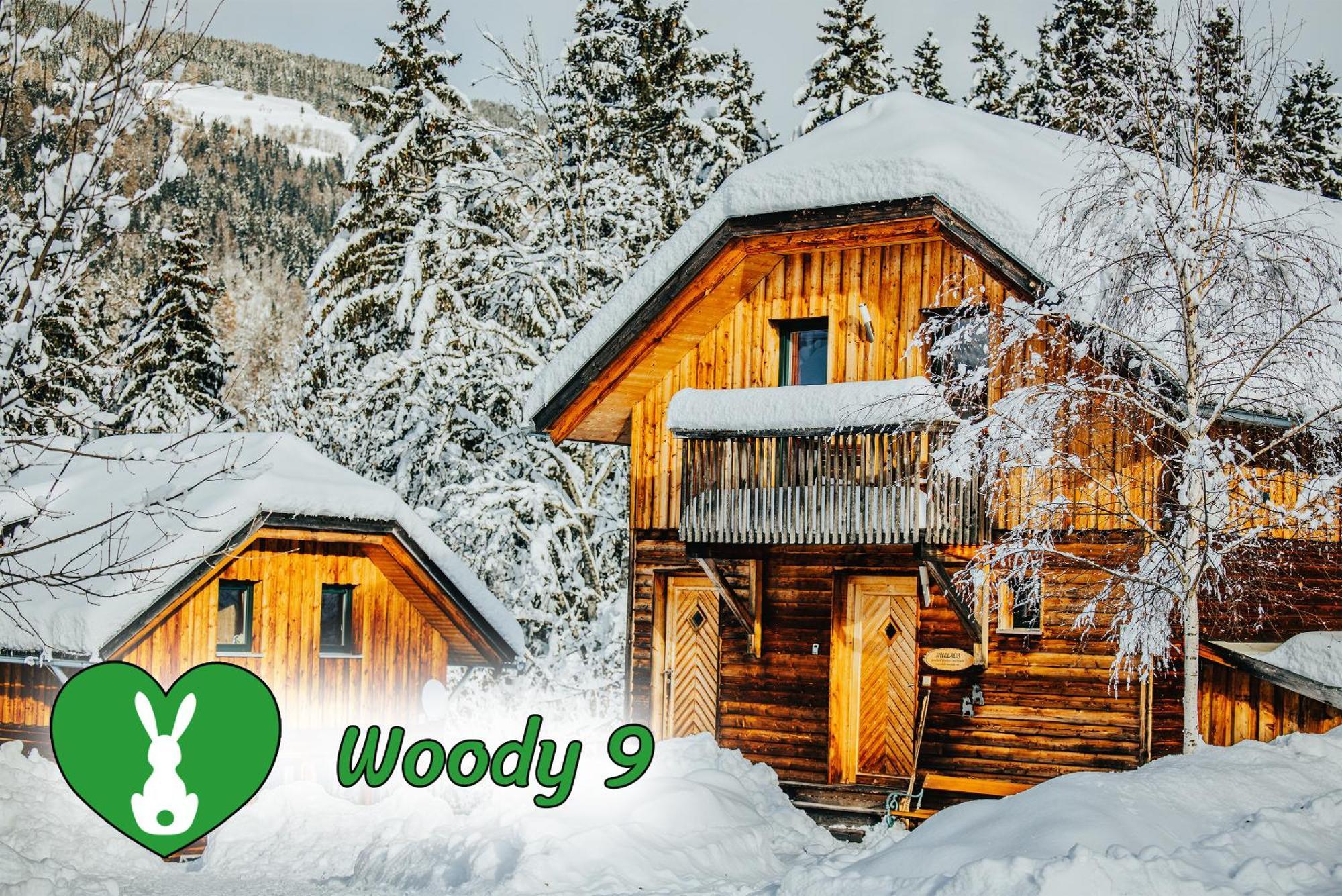 Woody Park Villa Sankt Georgen ob Murau Luaran gambar