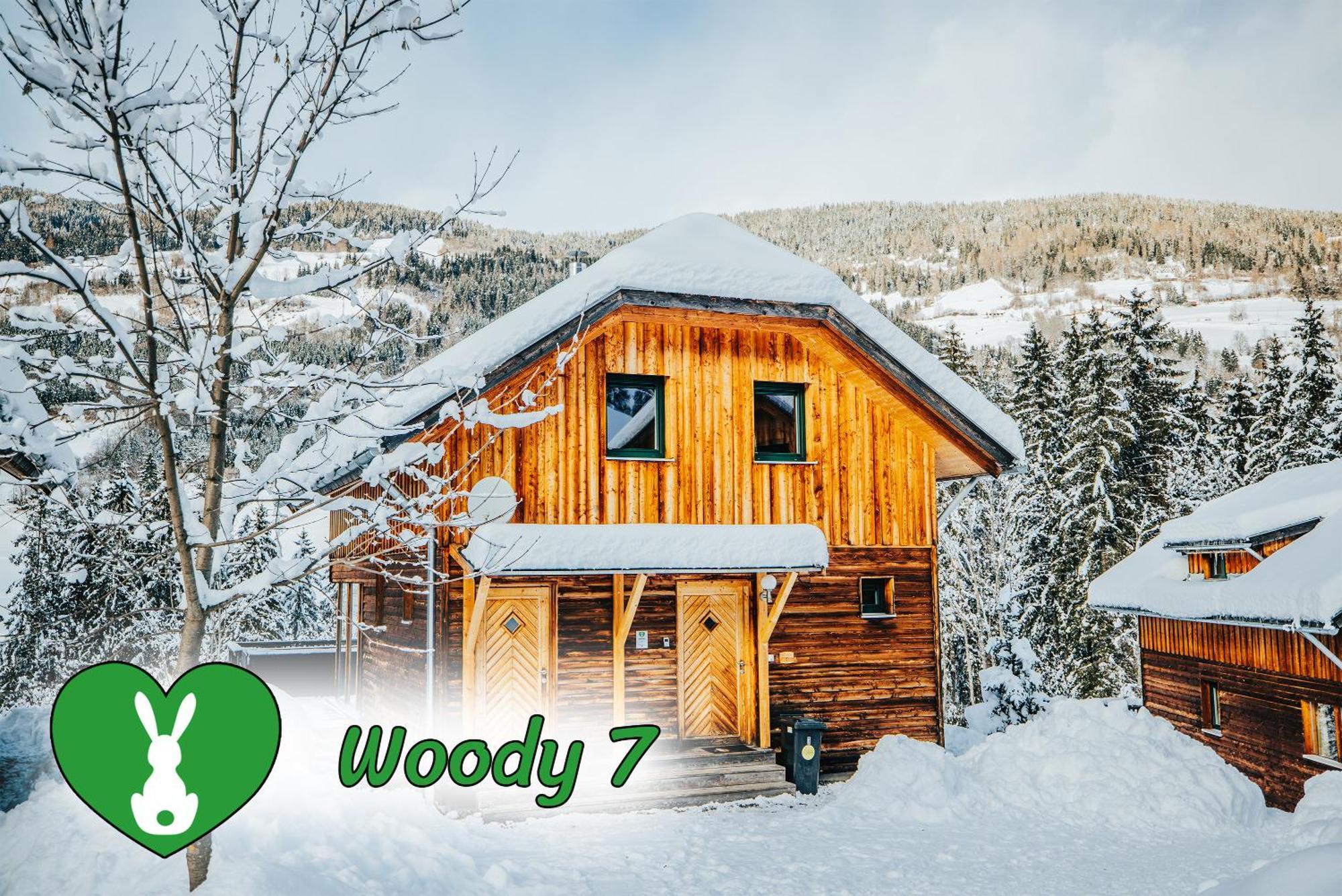 Woody Park Villa Sankt Georgen ob Murau Luaran gambar
