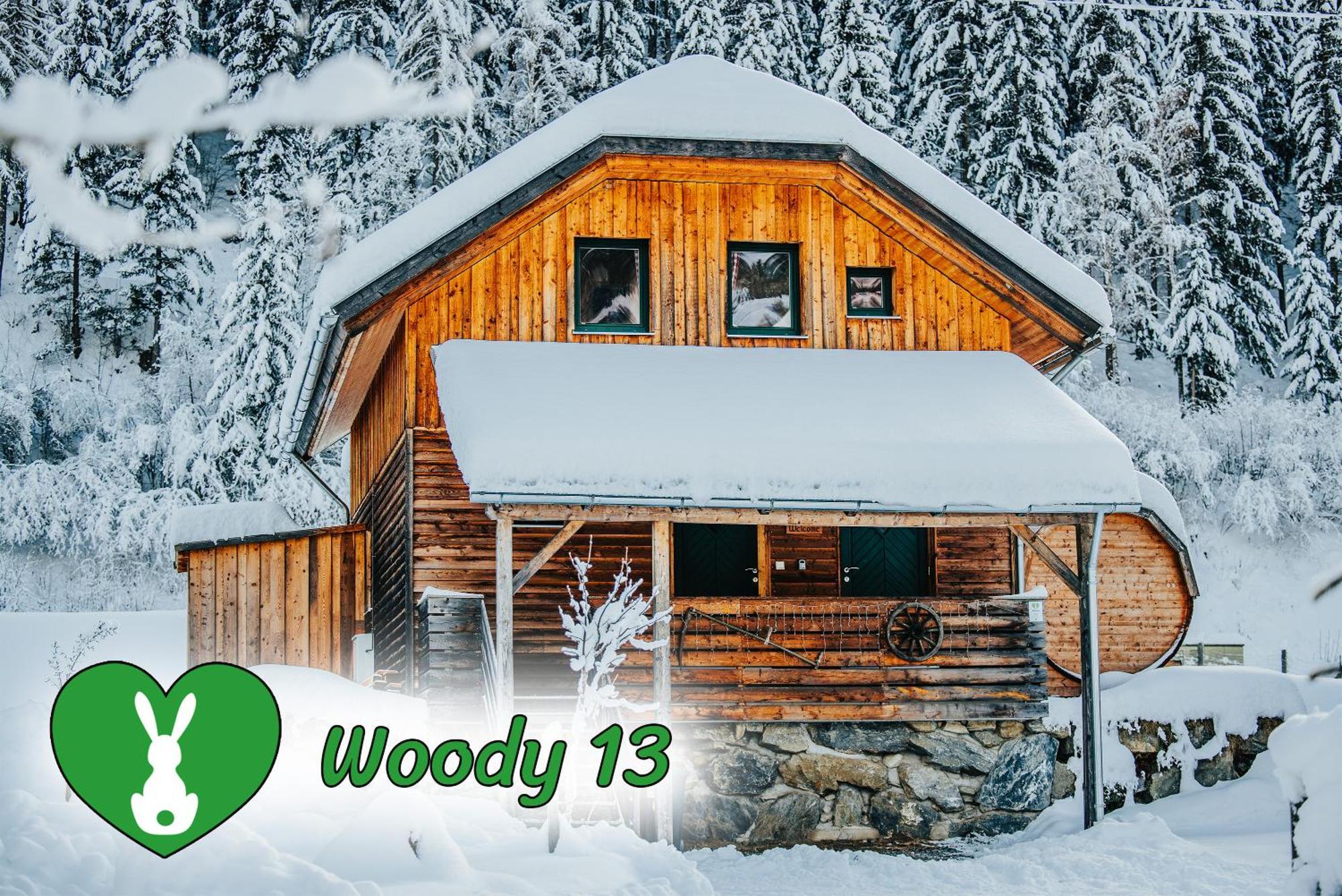 Woody Park Villa Sankt Georgen ob Murau Luaran gambar