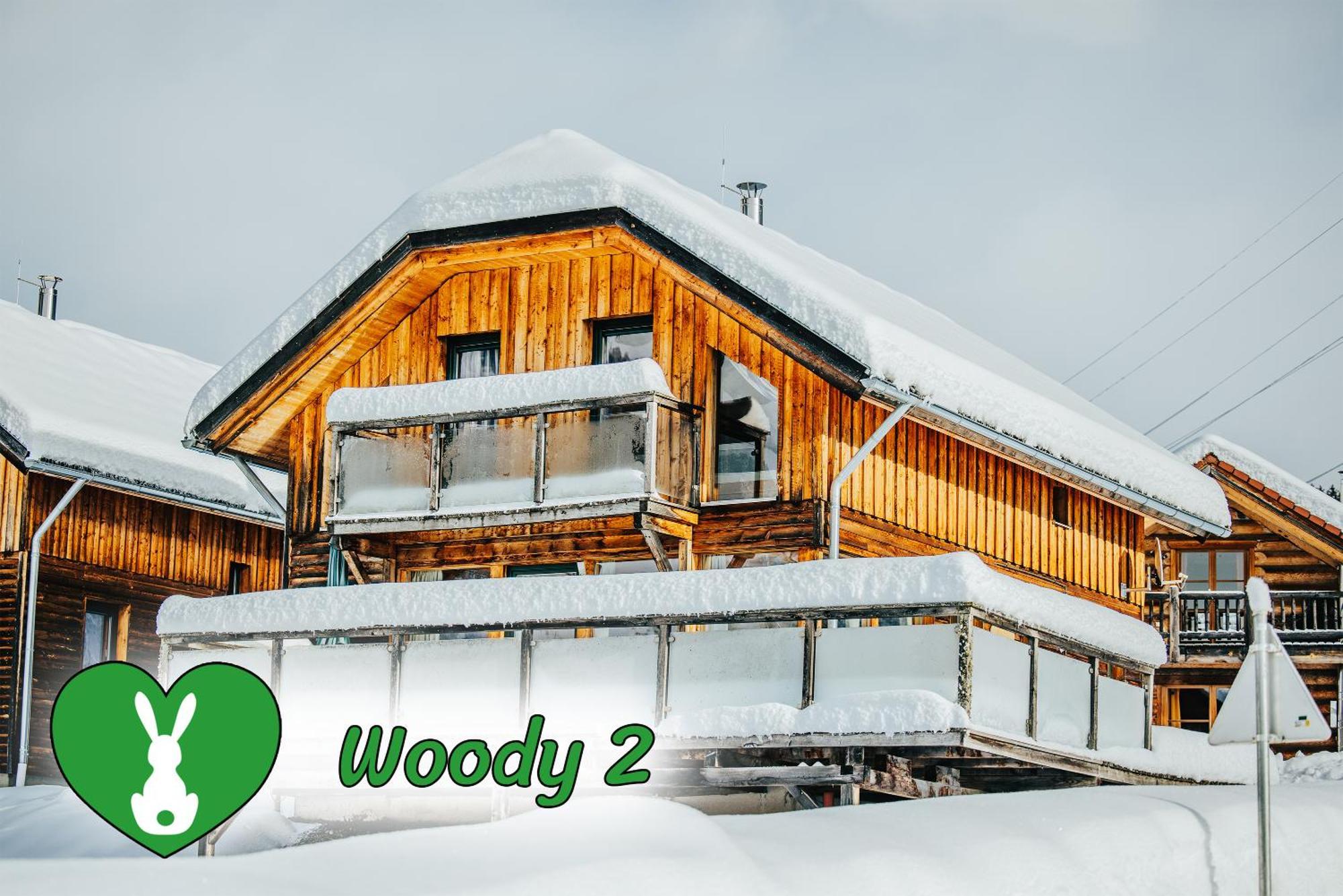 Woody Park Villa Sankt Georgen ob Murau Luaran gambar