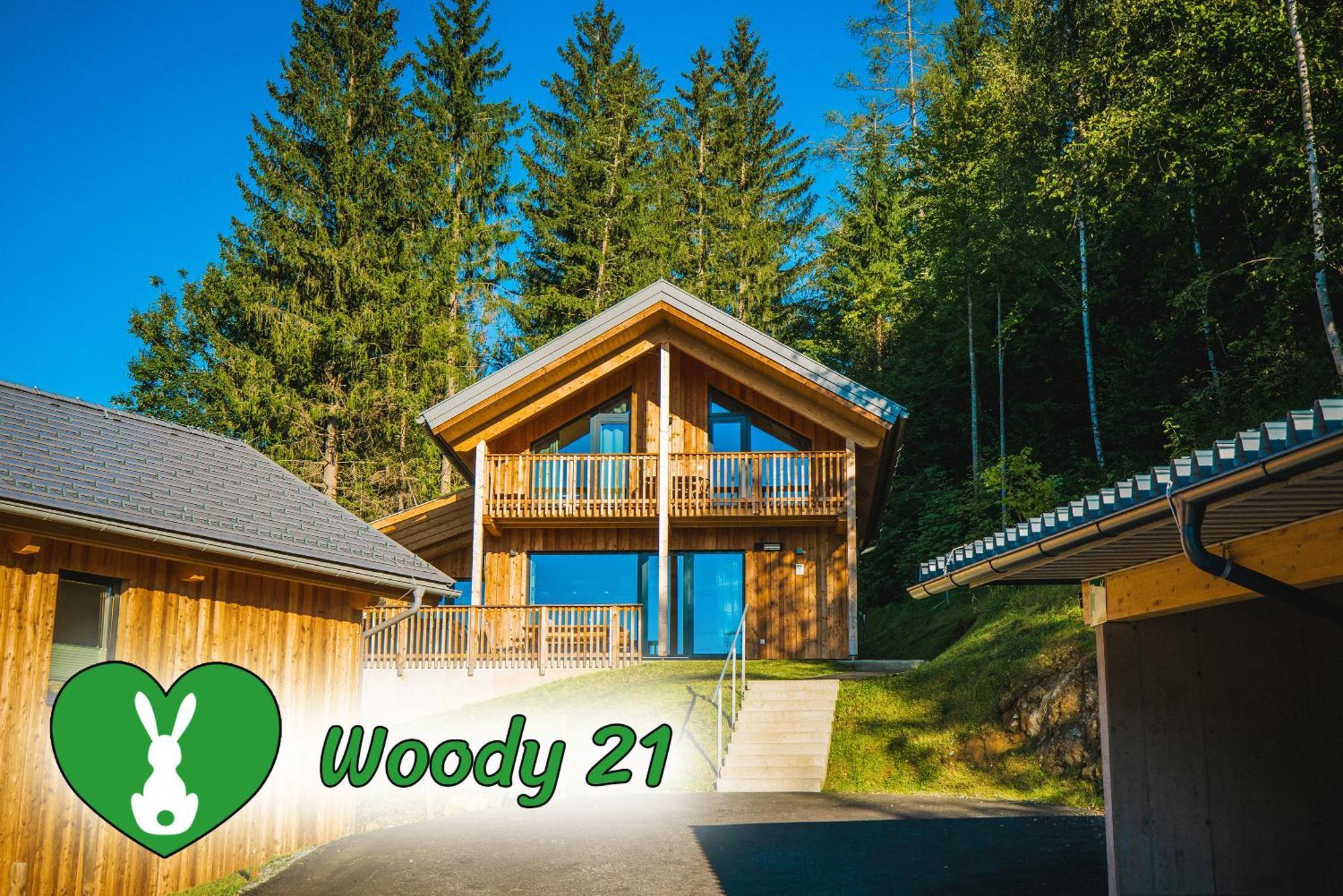 Woody Park Villa Sankt Georgen ob Murau Luaran gambar