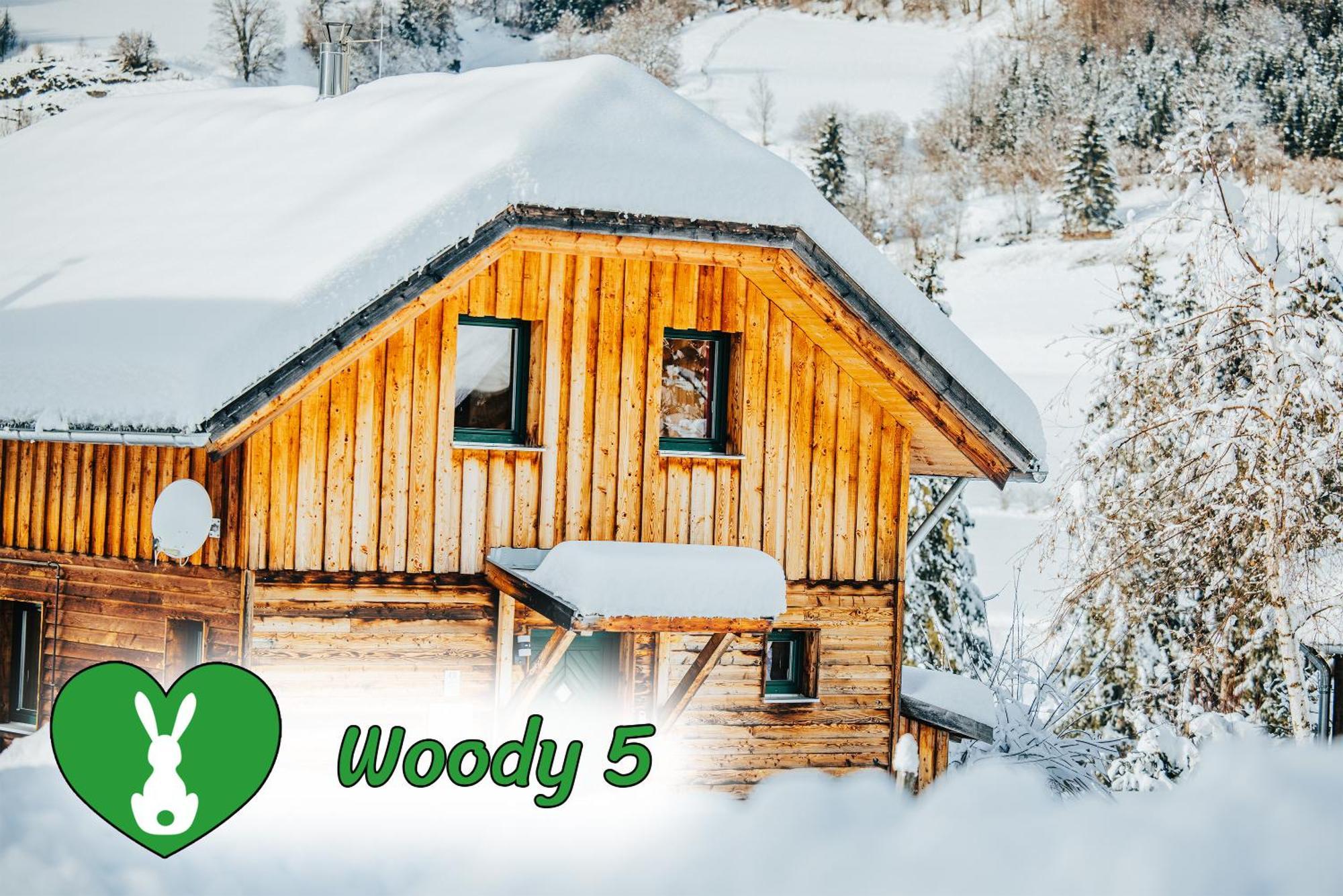 Woody Park Villa Sankt Georgen ob Murau Luaran gambar