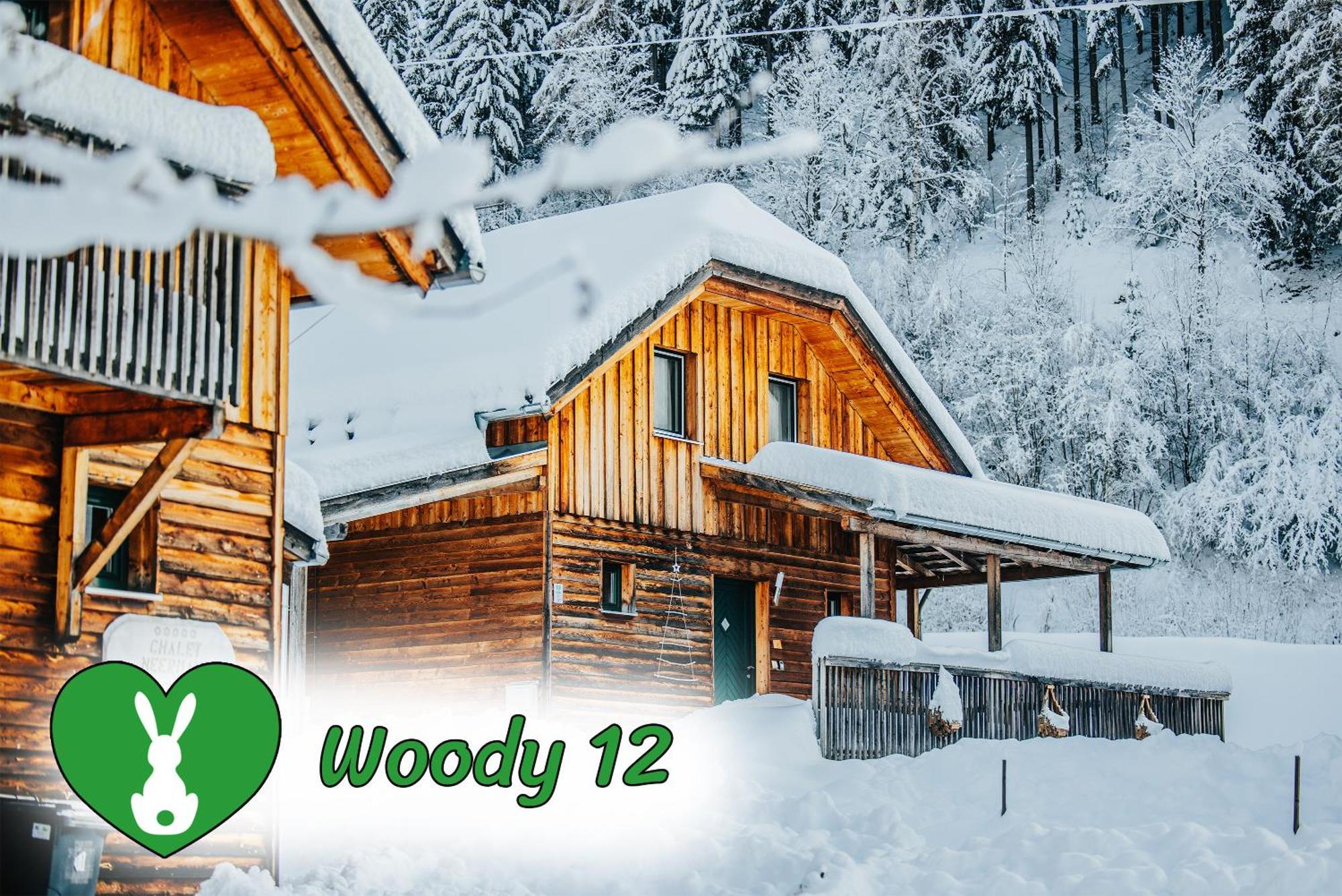 Woody Park Villa Sankt Georgen ob Murau Luaran gambar