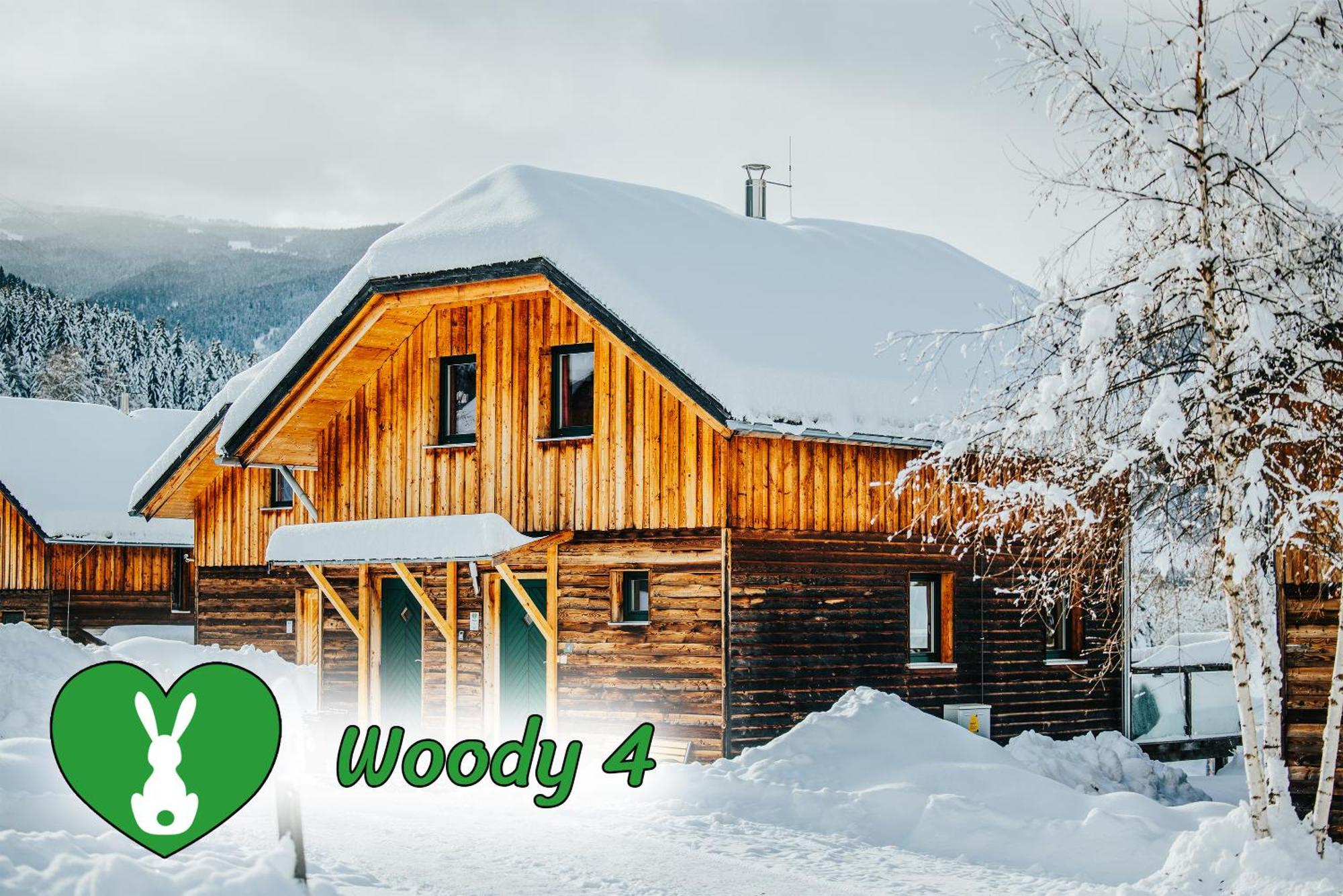Woody Park Villa Sankt Georgen ob Murau Luaran gambar